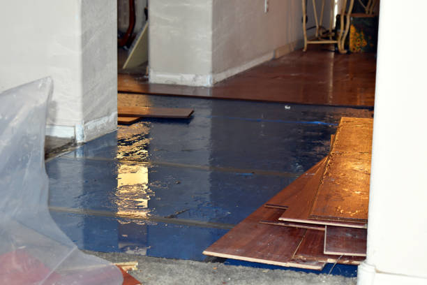 Professional Sewage Cleanup technician working in Blanchard, MI